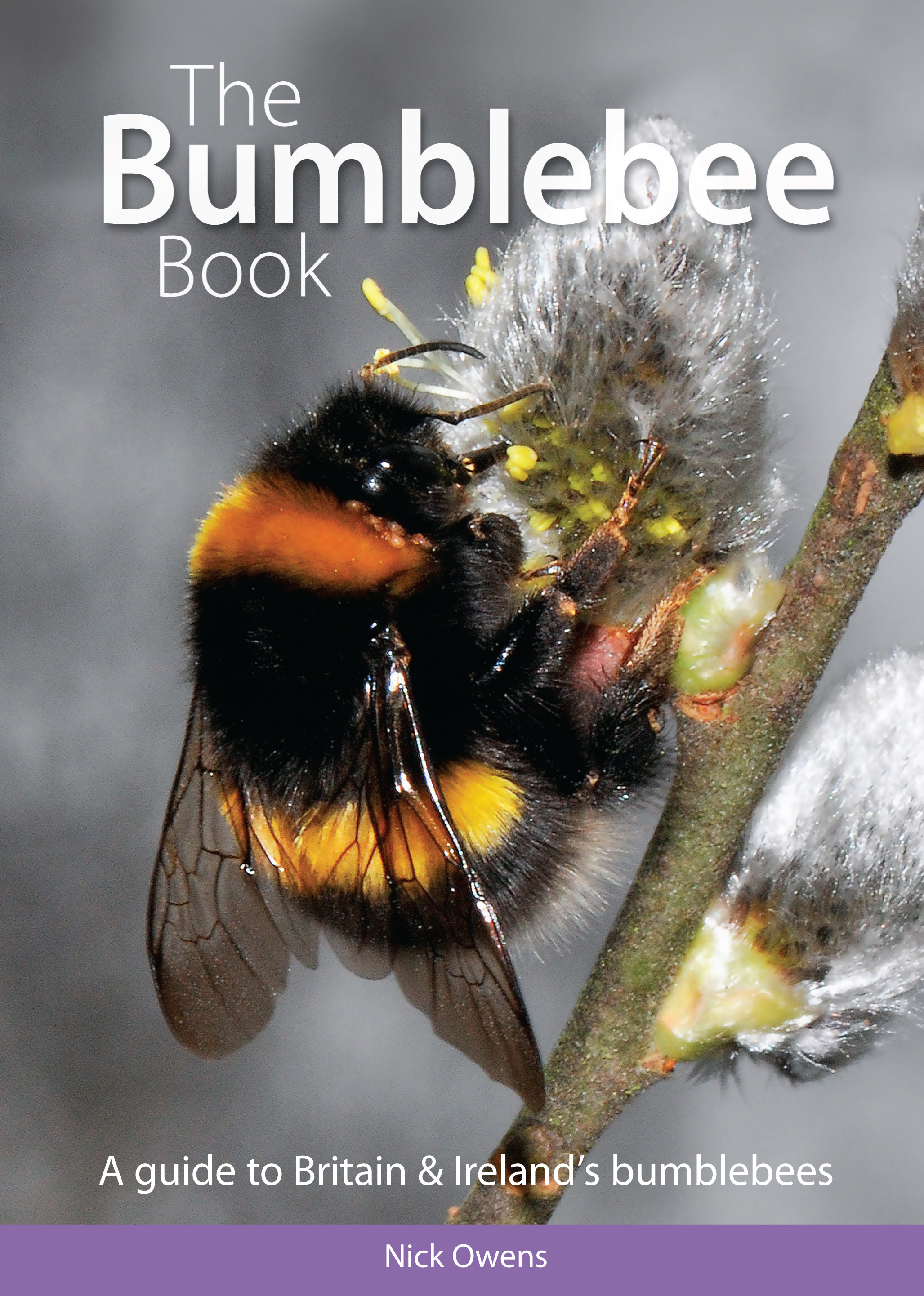 The Bumblebee Book